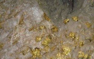 海底的加州金矿：屡次打捞白费无果(数量无法估量)