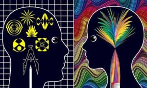 午餐肉是怎么发明的？推广电动车真的是为了“节能减排”？