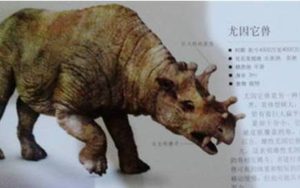 尤因它兽又叫做恐角兽，其化石分布在世界上哪个地区？