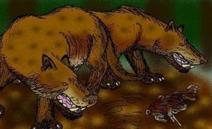 狮鬣兽生活在2300万年前，那么它属于狮子的一种吗？