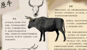 现代社会还有原牛的存在吗？它有哪些特征与生活习性？