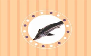 在自然界的生物中，波斯鲟喜欢怎样的生存环境？