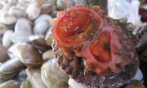 在自然界的生物中，有哪十大外表最恐怖的水下生物？