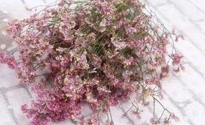 鲜花保养有哪些方法?在花瓶中放入什么水？