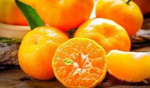 橘子和枣子可以一起吃吗？可以，能治疗食欲不振、消化不良
