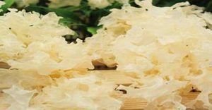 白木耳能和白萝卜、菠菜一起吃吗？不能，会有不好的影响