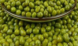 绿豆为什么可以祛痘？因为绿豆中某些成分可以抑制细菌