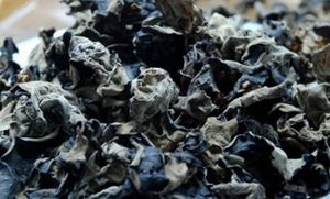 黑木耳属于发物吗？常吃黑木耳对身体有什么好处？