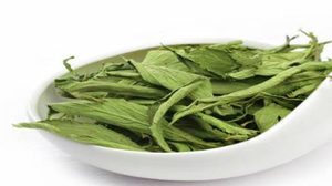 甜叶菊的生长发育需要什么？一定要有充足的水源和土壤