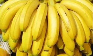 世界上最大的香蕉品种位于哪里？它的种植方法特殊吗？