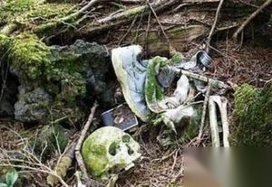 ​毛骨悚然！世界上最恐怖之地：娃娃岛