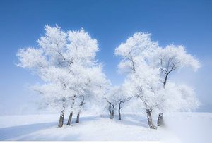 中国四大风景之美 分外妖娆的中国四大自然奇观