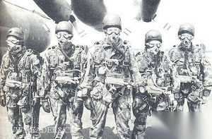 英军特种兵绑架隆美尔计划：目标被炸伤逃过一劫