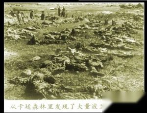 卡廷惨案全程揭秘：波兰卡廷惨案发生在什么年代