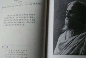 印度小说《戈拉》有哪些艺术特色？名家对《戈拉》如何点评？