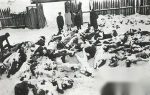 1939年苏芬战争：发生在二战前却影响着二战走势