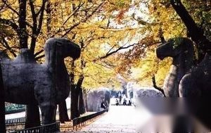 南京是哪六朝古都？六朝古都南京安葬了多少君王