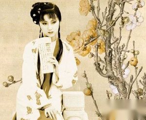 《红楼梦》人名拾趣 看完你还敢说你懂了红楼梦吗
