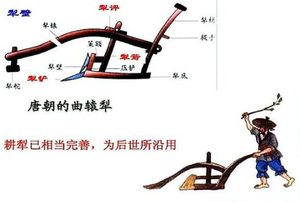 唐朝的劝课农桑是什么？今日“三下乡”古为今用！