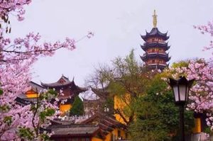 《新白娘子传奇》中的雷峰塔是在哪里？“鸡鸣寺”有什么历史？