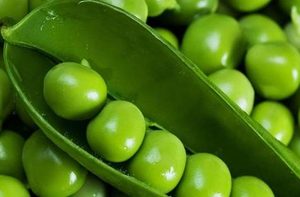 荷兰豆是什么豆？为什么荷兰人叫它“中国豆”？