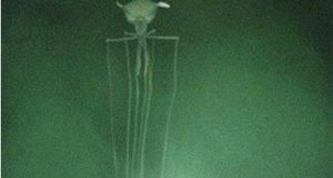 海洋深处有什么生物?海洋含盐率有多高?