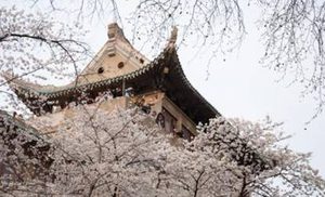 中国最古老的十大城市分别是哪十大？原因是什么？