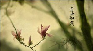 什么是君子?君子的标准是什么?