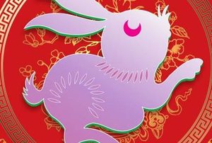 属兔的人性格是怎么样的？属兔的人性格有哪些特点？