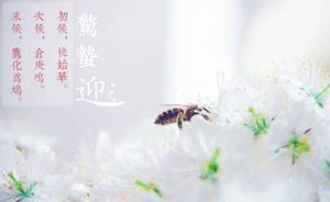 惊蛰在二十四节气中有什么含义？惊蛰节气意味着什么？