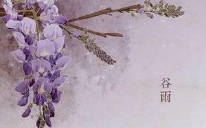 二十四节气的谷雨是怎么来的？民间有什么关于谷雨的谚语？