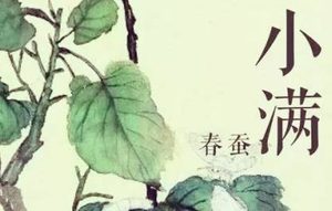 历史上有哪些关于小满的诗词？这些诗的作者分别是谁？