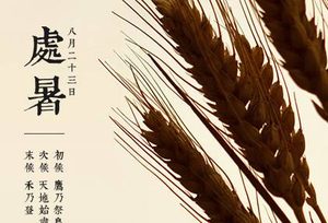 处暑时节为什么要养生？处暑时节养生的方法有哪些？