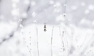 立冬时节为什么要养生？立冬时节养生的方法有哪些？