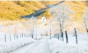 农业生产在立冬节气要注意哪些？农作物该怎么种植？