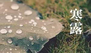 寒露时节为什么要养生？寒露时节养生的方法有哪些？