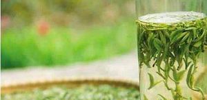 茶叶可以归纳为哪六大类？在制作工艺上有什么区别？