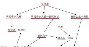 李渊取代隋朝建立唐朝，为何说只是关陇集团内部的转移？