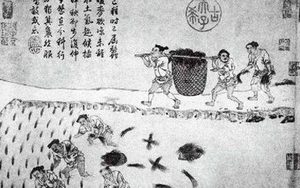 唐太宗改革均田制以后，对经济的发展起了什么作用？