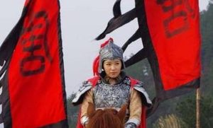在唐朝名将樊梨花征西中，她如何大败白虎关总兵杨藩？