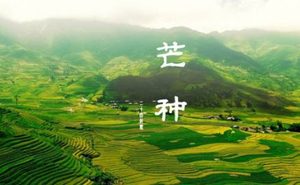 “芒种”又叫“忙种”，它是二十四节气中的第几个节气？