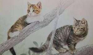 一入猫坑深似海，南宋诗人陆游为猫咪作了哪些诗词？