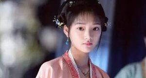 古代贵族男子都能三妻四妾，那么驸马可以纳妾吗？