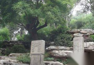天意示警？1644年大明王朝覆灭前的诸般怪事