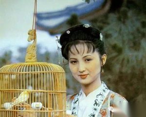 红楼梦里的丫鬟俏平儿 最会处理人际矛盾的能人