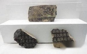 西夏王陵之谜：为什么从不长草 也不落鸟？