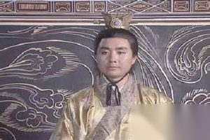 曹睿的儿子曹芳仅因为什么而错失去皇位