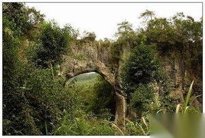 南宋时株洲堪称"酒都" 一年缴税高达20万两白银