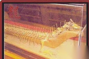 1934年营口坠龙事件 其中真相竟然是这样的