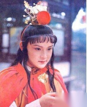 红楼梦贾珠是谁的儿子 贾珠和贾宝玉的关系
